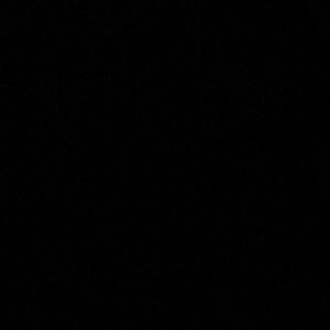 Meet your Posher, Sarina